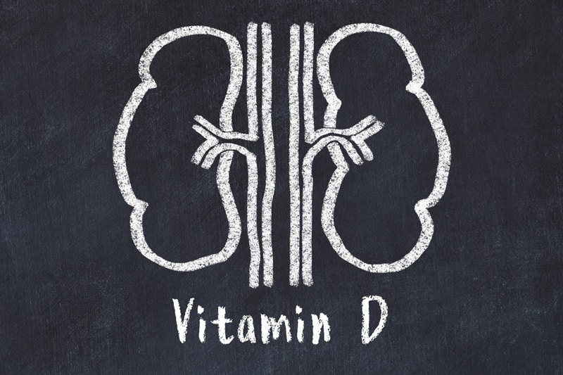 Visual illustrated image of kidneys with the label vitamin d underneath