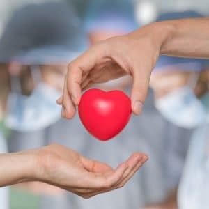 Image of hands holding a heart representing the gift of organ transplants